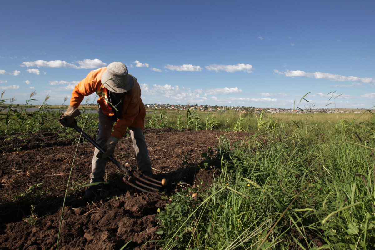 Eastern Cape Farming